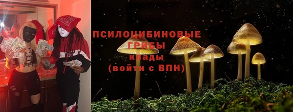 крисы Алексеевка